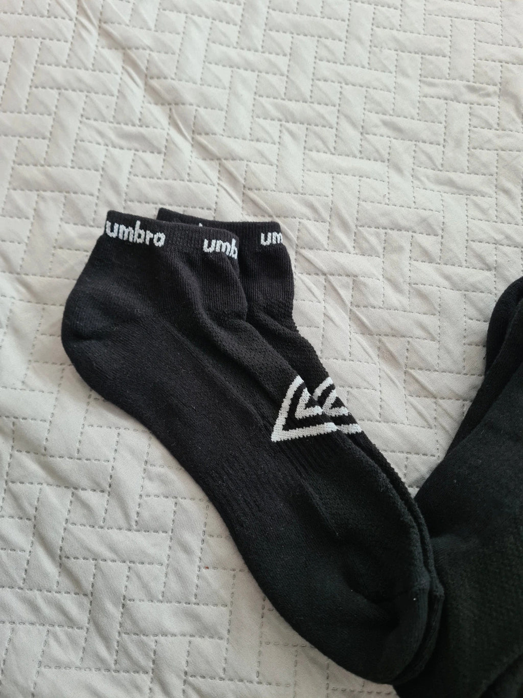 Umbro men 5x socks basic trainer cotton rich black low socks with logo UK5-8